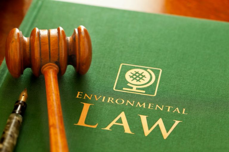 environmental lawyer 1